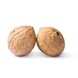Testicles_