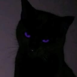 Sykaaaa0