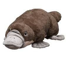 Platypus8319