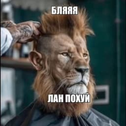 CTRAXA_NET1