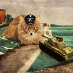 VlaDisYAO