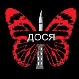 kurva_4mo