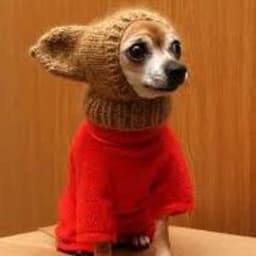 moroz1kk