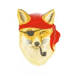 MagicFoxy