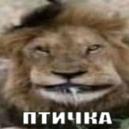 1mpyLLs