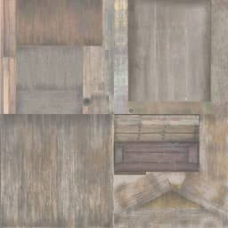 rapidpoly