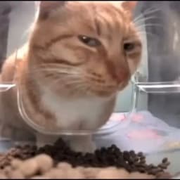 RichMeow27