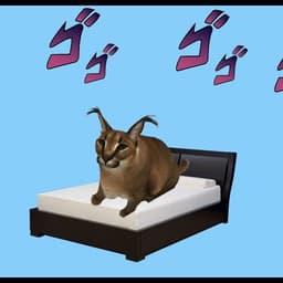NHOMAPKA