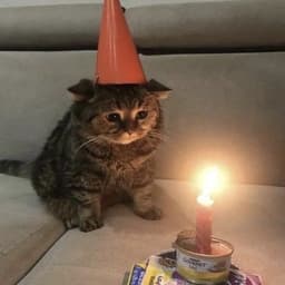 Blyatechku
