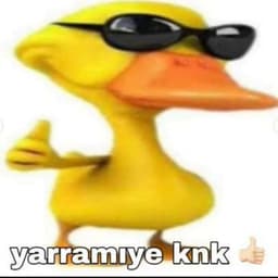 YouTubeZipS