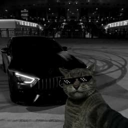 KILL_MESB