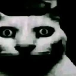 Ninja_X2q