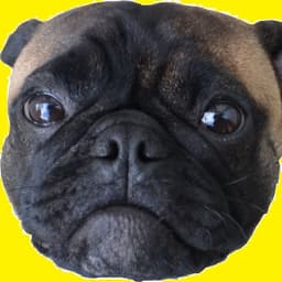 BogEyes