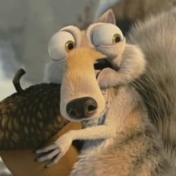 _Squirrel__