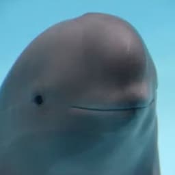 S0W3R