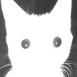 Insomniv