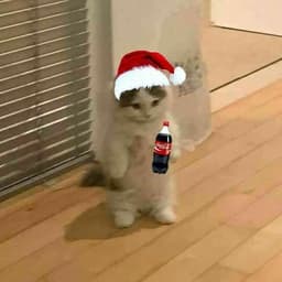 _RaFFaeLLo_