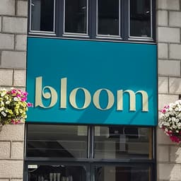 BlooM96
