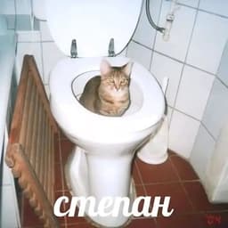 CbIH_CSHLUXU