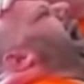 ratguy