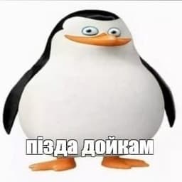 ANDREY_OVSSS