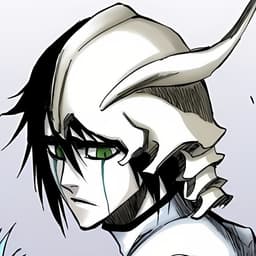 bankai_derti
