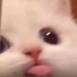PewPawPaw