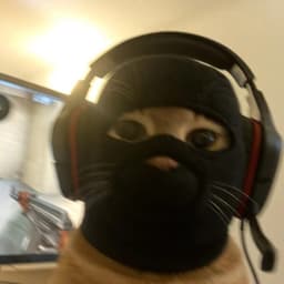 FlyNNzik