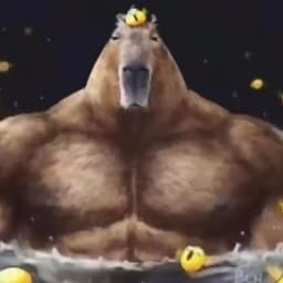 Capybara____