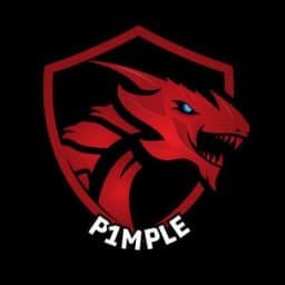 pimpl3