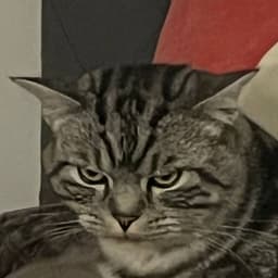 ozuKrem