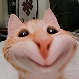 WhyWoo