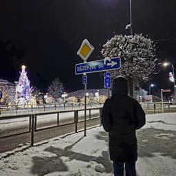Artemkovsov