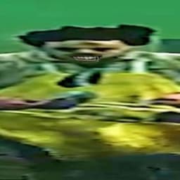 -_Turtle_