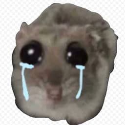KAZAH29