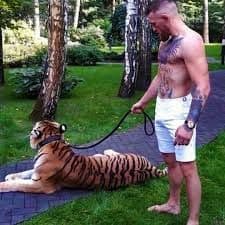 tigger--