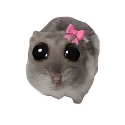 TipOk_nik