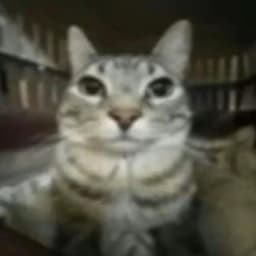 monikerr