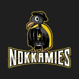 Nokkkamies