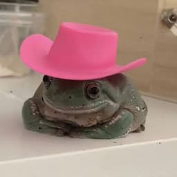 Top_Frogger