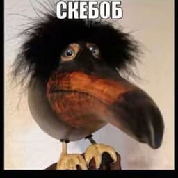 -DZSHKA-