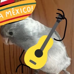 Zouzo