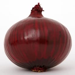 cebulkowicz7