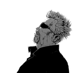 SolvingJunk