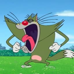NikoTiN