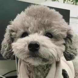 OGKyrieee