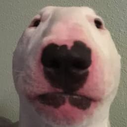 OlegPypsik