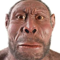 Testmant