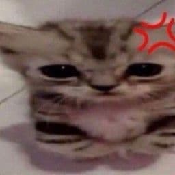 _Zuz4nk4_