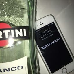 temniprinc